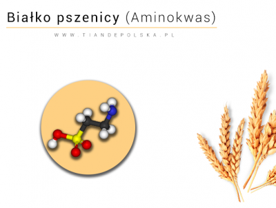 białka-aminokwasy-tiande-białko-pszenicy.png