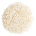 Białka ryżu